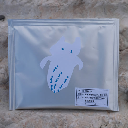 06.咖啡濾泡包＿哥倫比亞x5